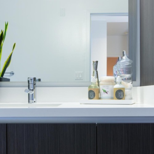 a sink with a plant and a mirror